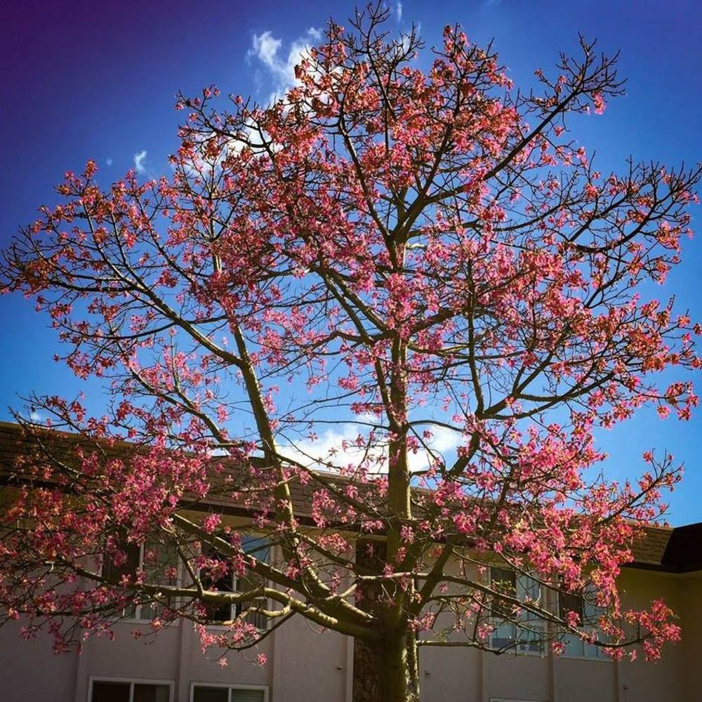 Meet your Posher, Lise